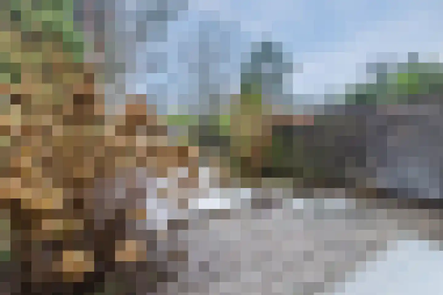 Boogschutter 164 Hoorn thumbnail 43