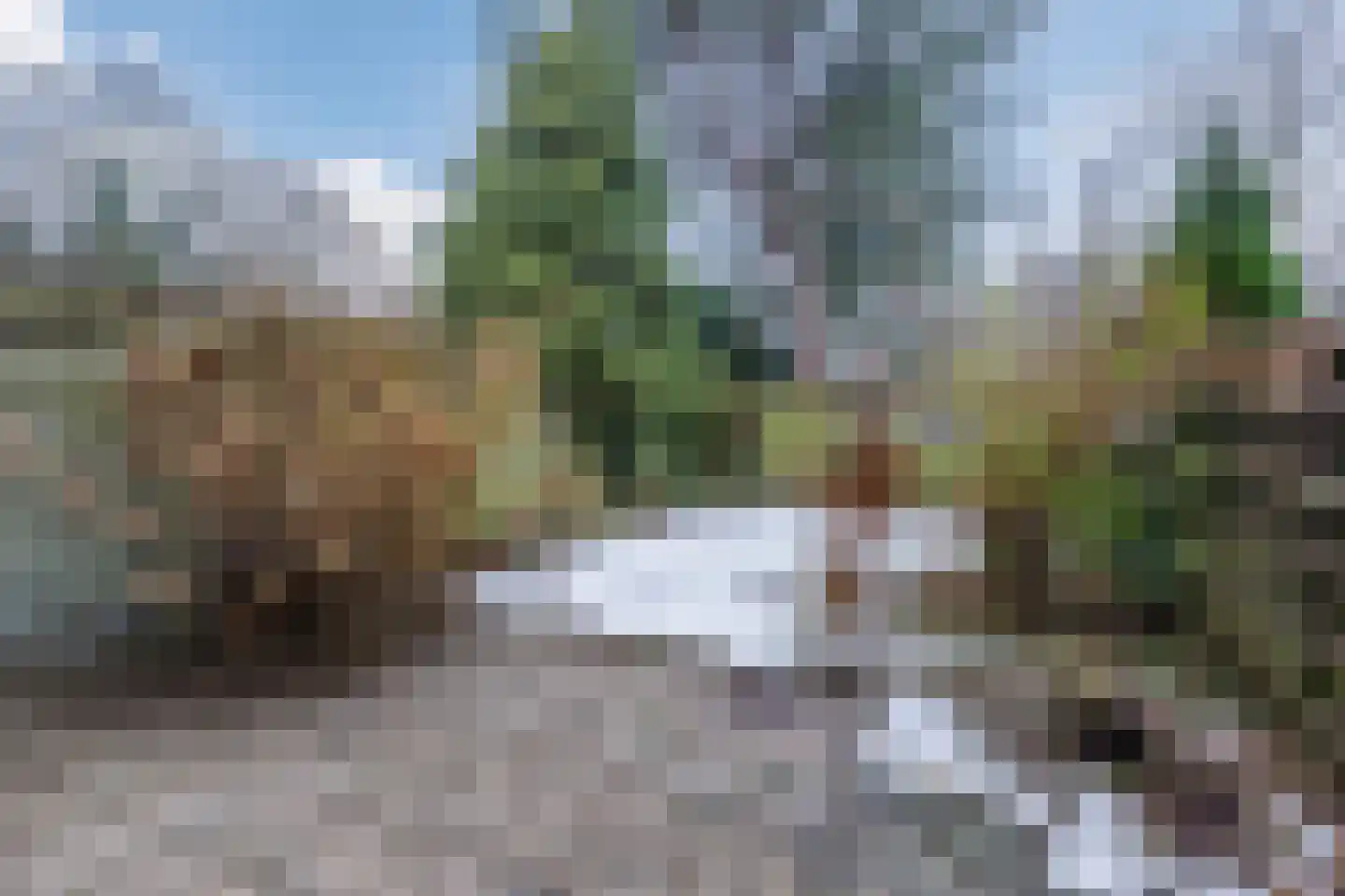 Boogschutter 164 Hoorn thumbnail 44