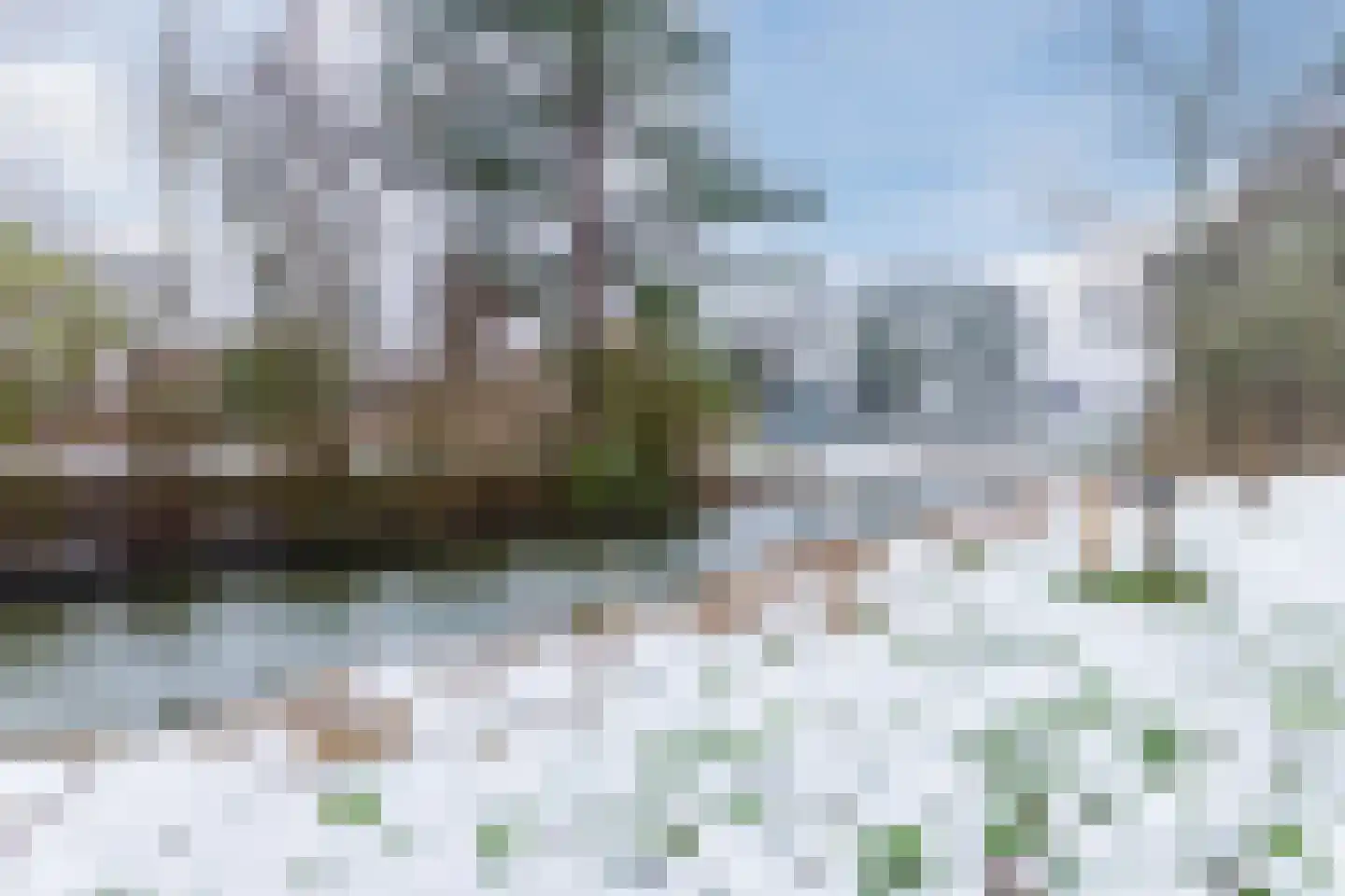 Boogschutter 164 Hoorn thumbnail 45