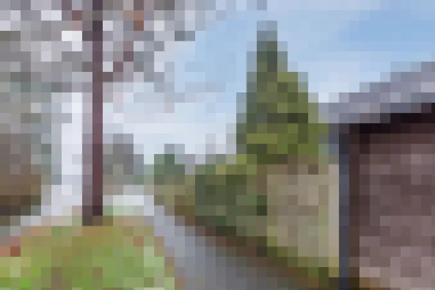 Boogschutter 164 Hoorn thumbnail 48