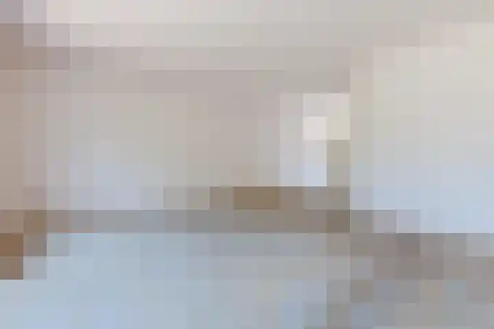 Boogschutter 168 Hoorn thumbnail 11