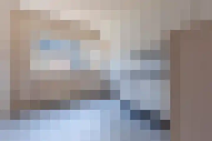 Boogschutter 168 Hoorn thumbnail 13