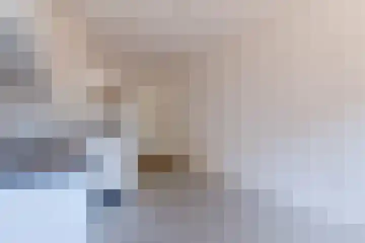 Boogschutter 168 Hoorn thumbnail 15