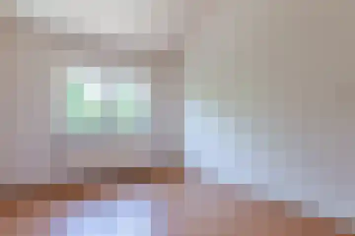 Boogschutter 168 Hoorn thumbnail 16
