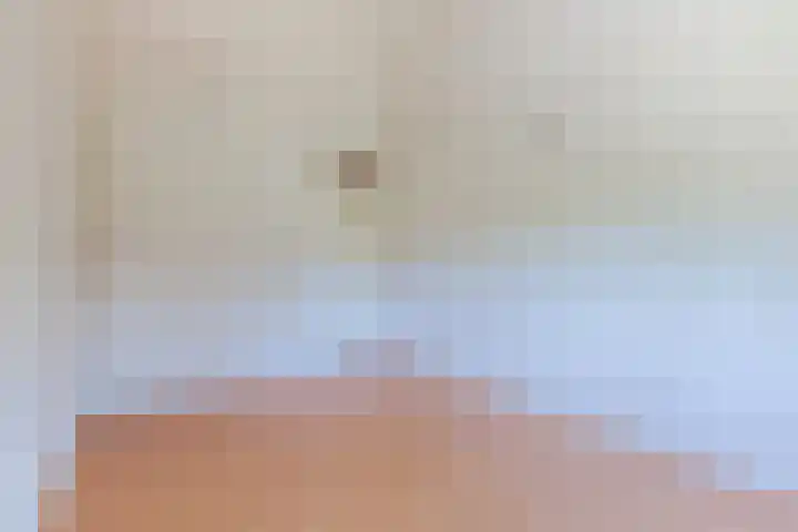 Boogschutter 168 Hoorn thumbnail 17
