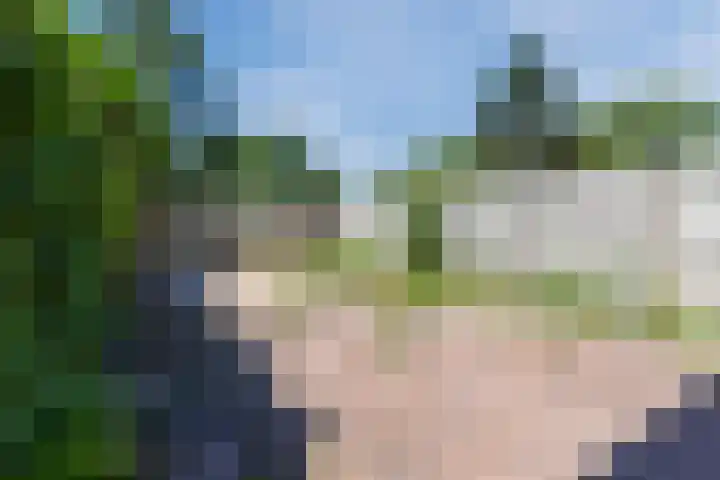 Boogschutter 168 Hoorn thumbnail 32