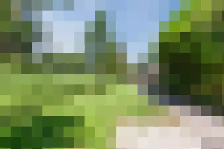 Boogschutter 168 Hoorn thumbnail 35