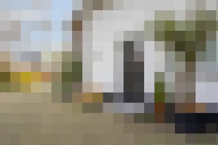 Boogschutter 173 Hoorn