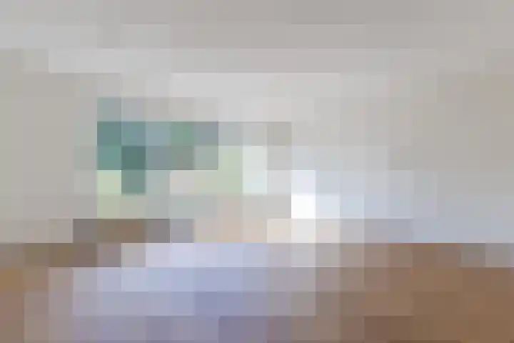 Boogschutter 173 Hoorn thumbnail 10