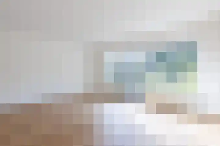 Boogschutter 173 Hoorn thumbnail 13