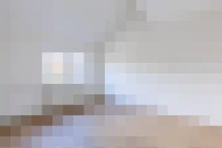 Boogschutter 173 Hoorn thumbnail 15