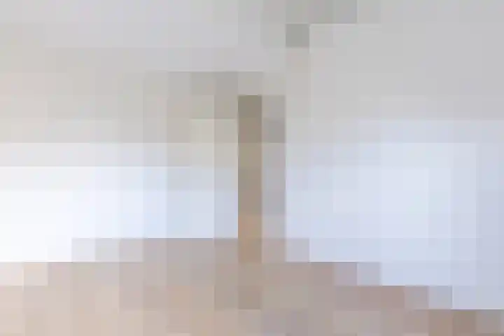 Boogschutter 173 Hoorn thumbnail 16