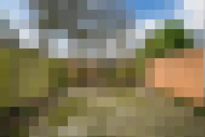 Boogschutter 173 Hoorn thumbnail 30