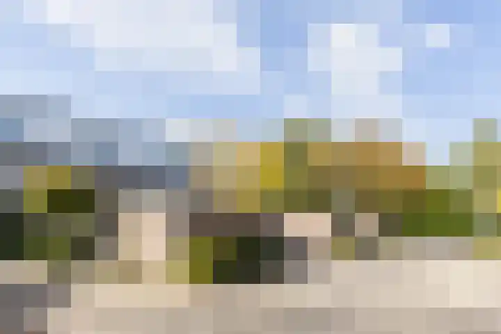 Boogschutter 173 Hoorn thumbnail 5