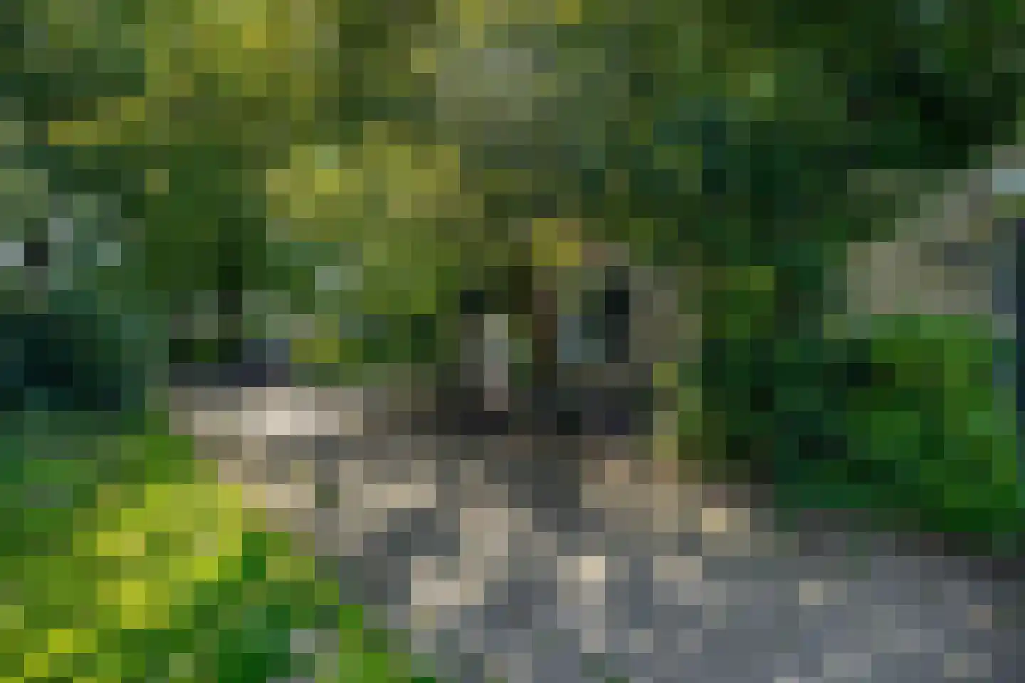 Boogschutter 2 Amstelveen thumbnail 29