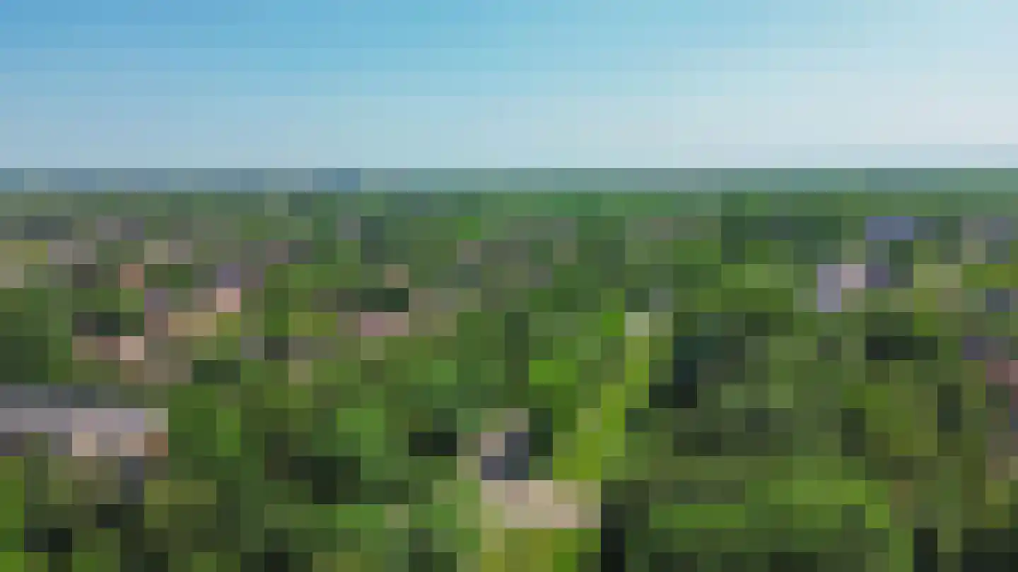 Boogschutter 2 Amstelveen thumbnail 31