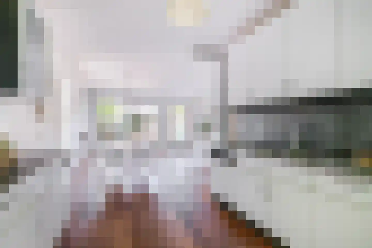 Boogschutter 2 Amstelveen thumbnail 9