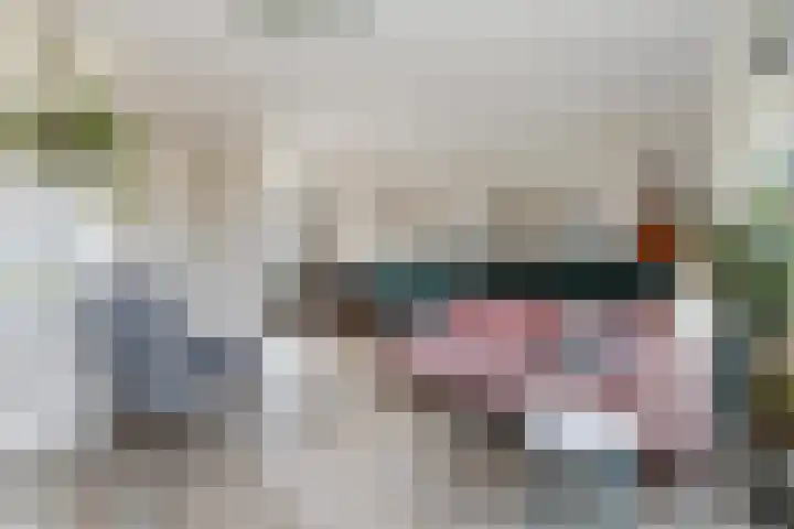 Boogschutter 25 Dordrecht thumbnail 10