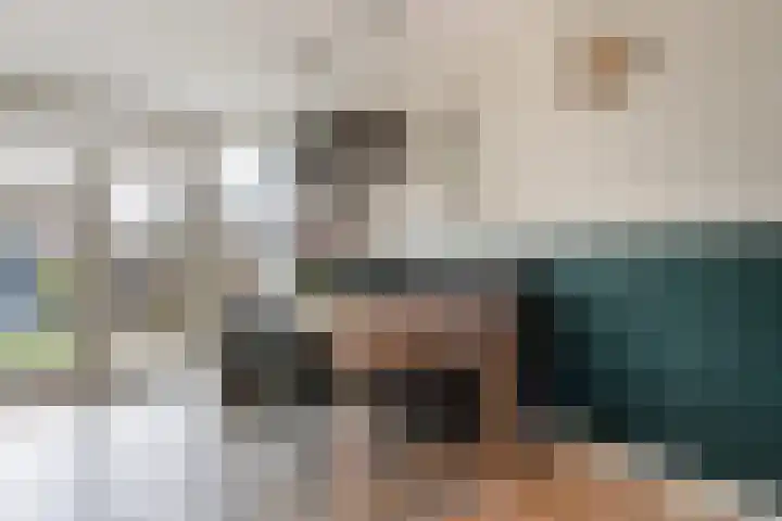 Boogschutter 25 Dordrecht thumbnail 11