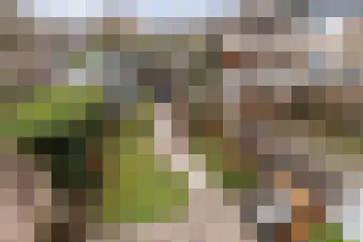 Boogschutter 25 Dordrecht thumbnail 19