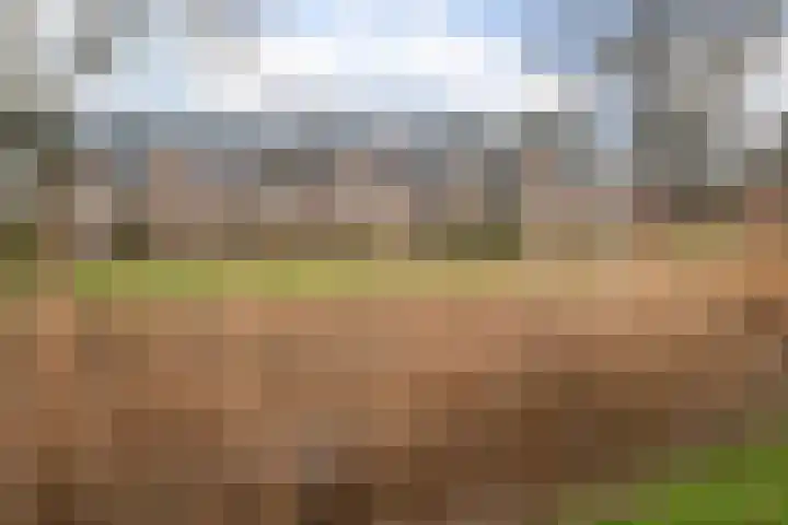 Boogschutter 25 Dordrecht foto 2