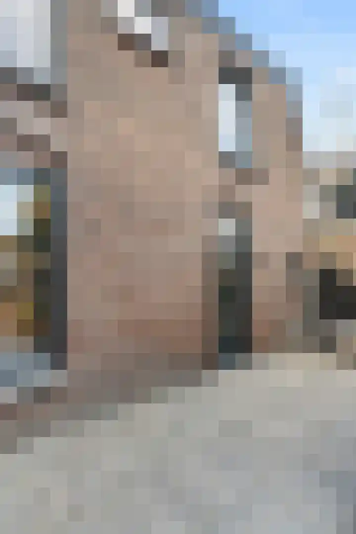 Boogschutter 25 Dordrecht thumbnail 20