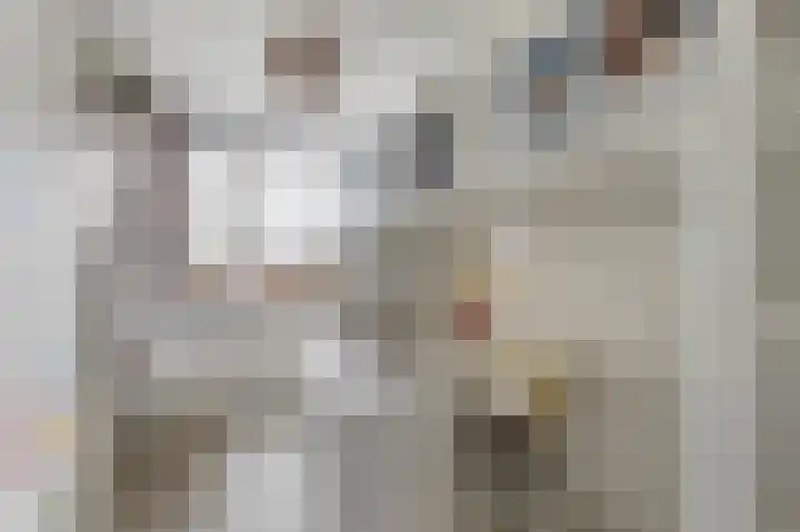 Boogschutter 25 Dordrecht thumbnail 21