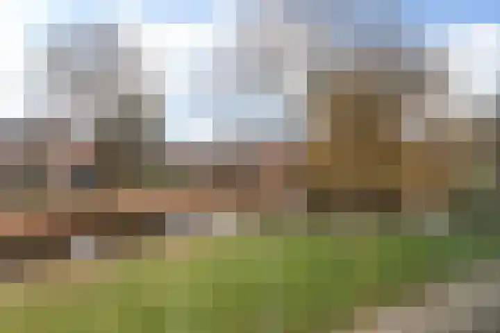 Boogschutter 25 Dordrecht thumbnail 22