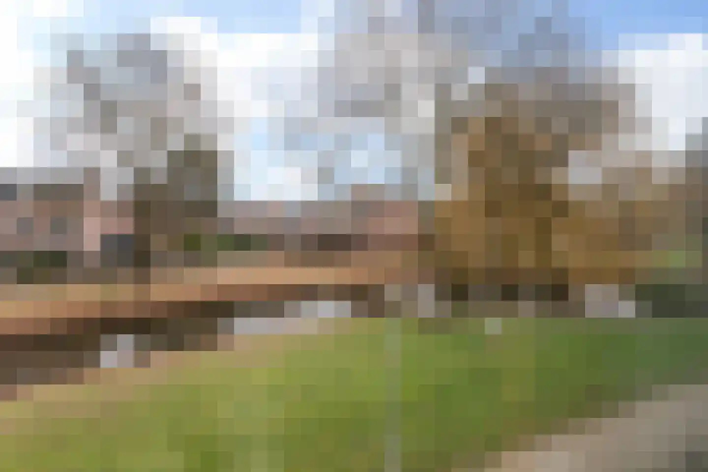 Boogschutter 25 Dordrecht thumbnail 22