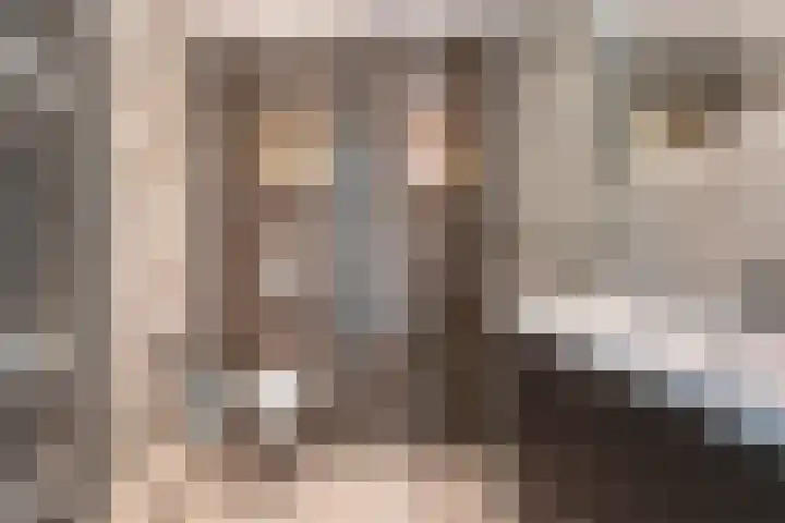 Boogschutter 25 Dordrecht thumbnail 23