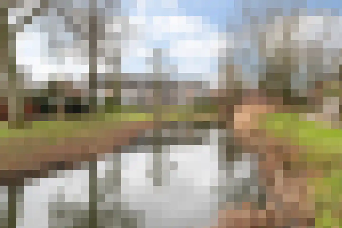 Boogschutter 25 Dordrecht thumbnail 32