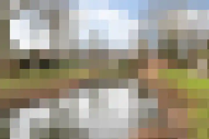 Boogschutter 25 Dordrecht thumbnail 32