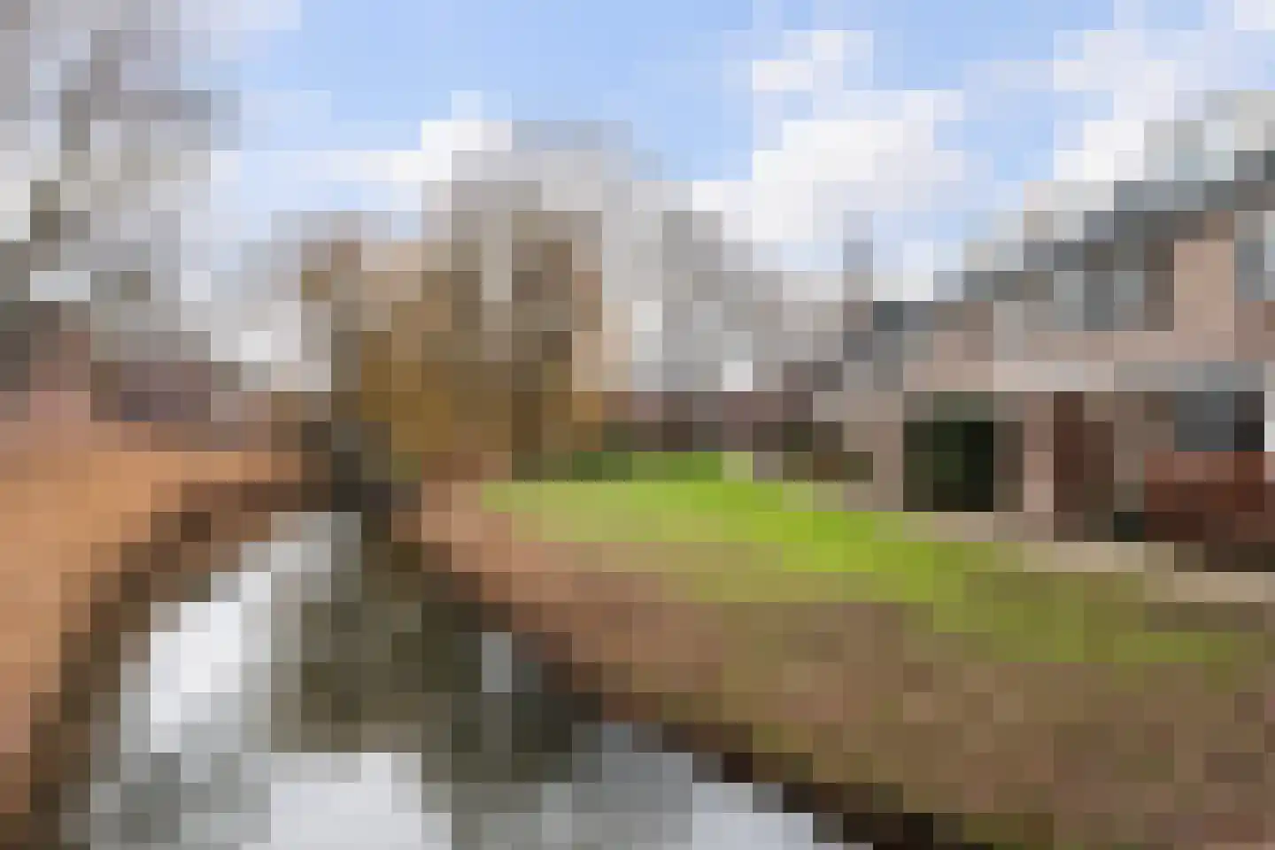 Boogschutter 25 Dordrecht thumbnail 33