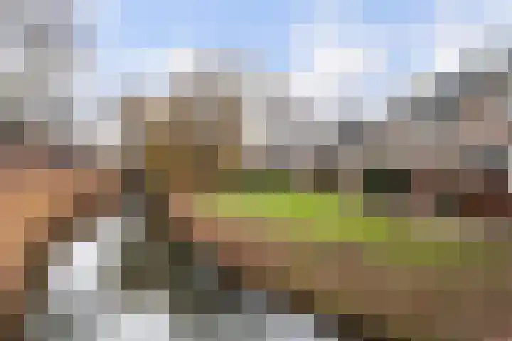 Boogschutter 25 Dordrecht thumbnail 33