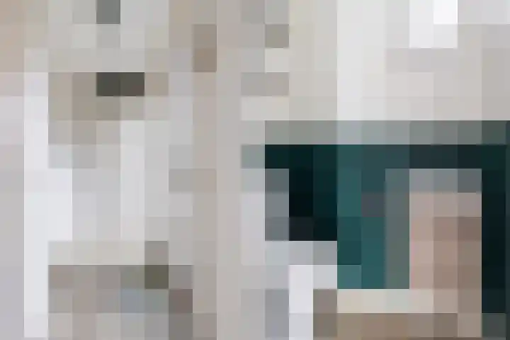 Boogschutter 25 Dordrecht thumbnail 4