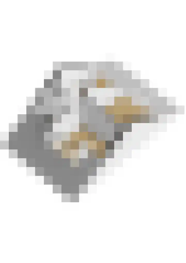 Boogschutter 25 Dordrecht thumbnail 41