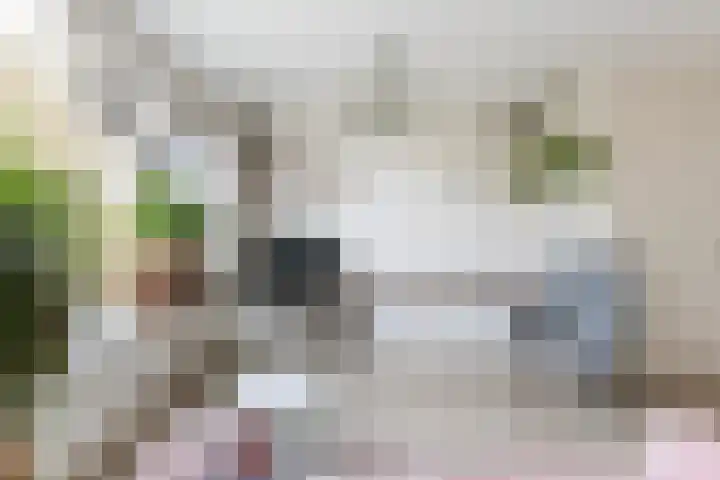 Boogschutter 25 Dordrecht thumbnail 6