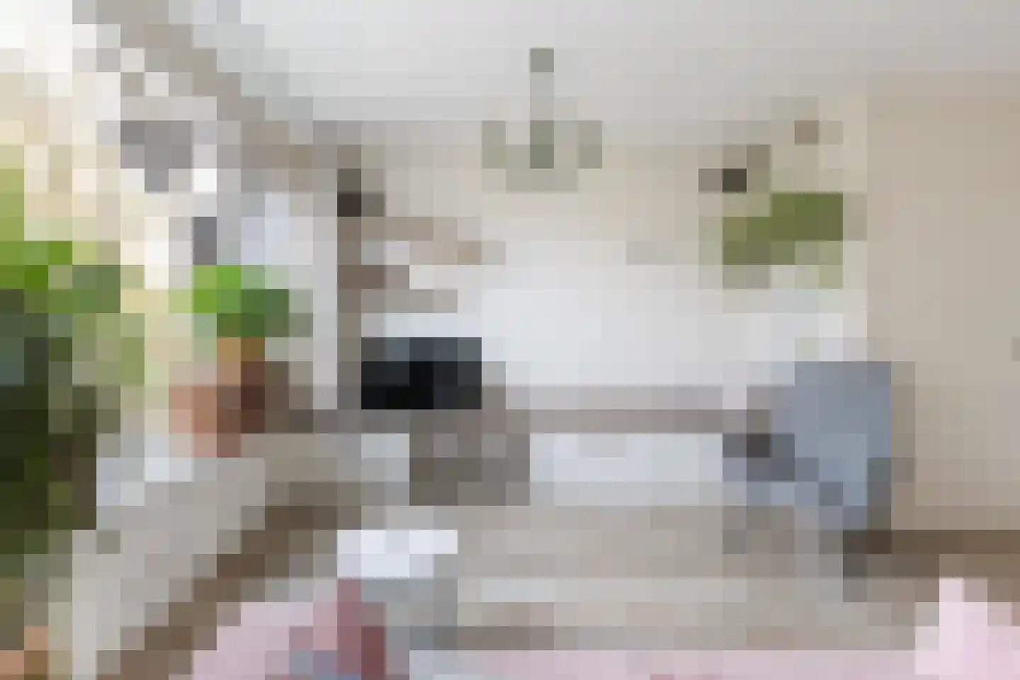Boogschutter 25 Dordrecht thumbnail 6