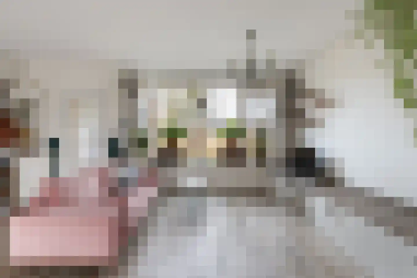 Boogschutter 25 Dordrecht thumbnail 7