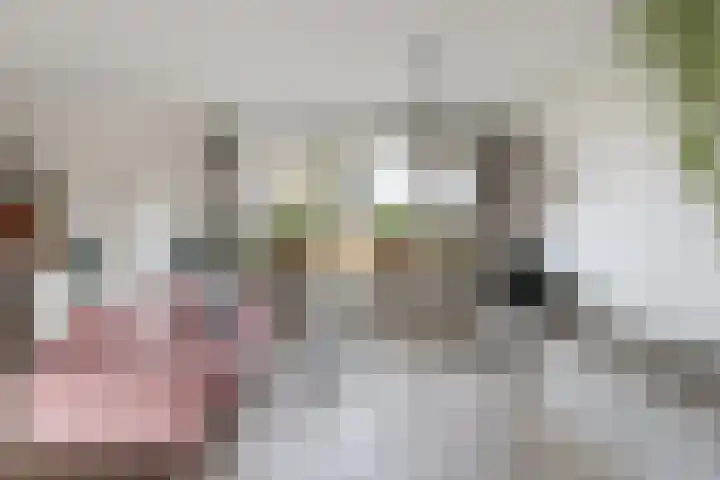 Boogschutter 25 Dordrecht thumbnail 7