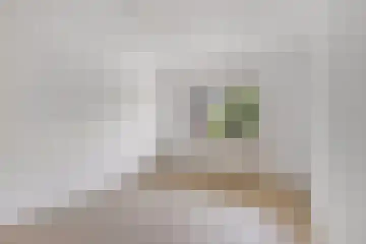 Boogschutter 28 Hoorn thumbnail 15