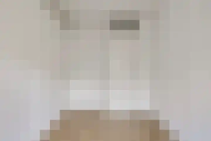 Boogschutter 28 Hoorn thumbnail 20