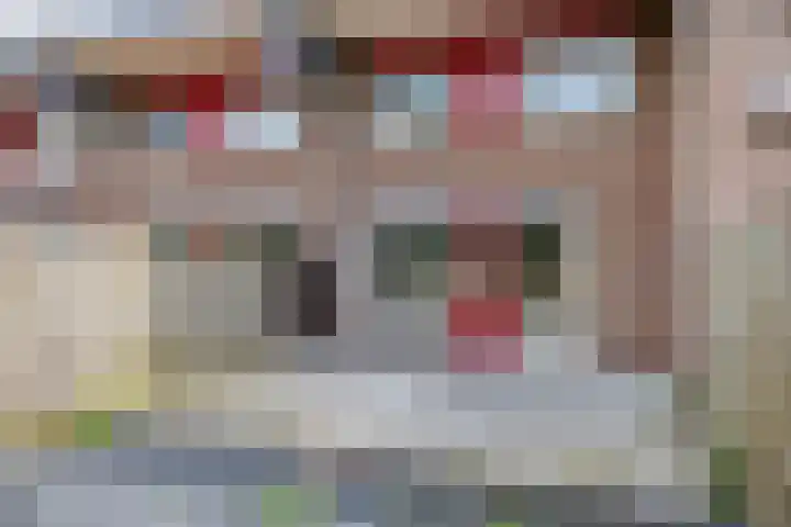 Boogschutter 28 Hoorn thumbnail 24