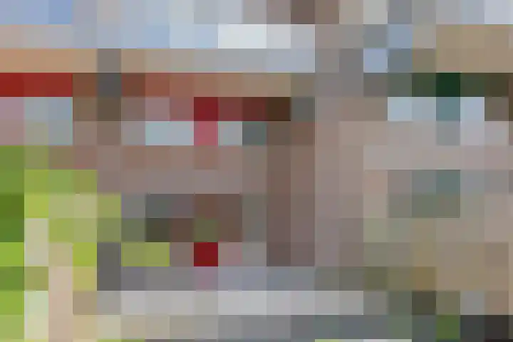 Boogschutter 28 Hoorn thumbnail 25