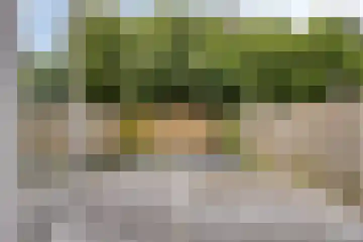 Boogschutter 28 Hoorn thumbnail 27
