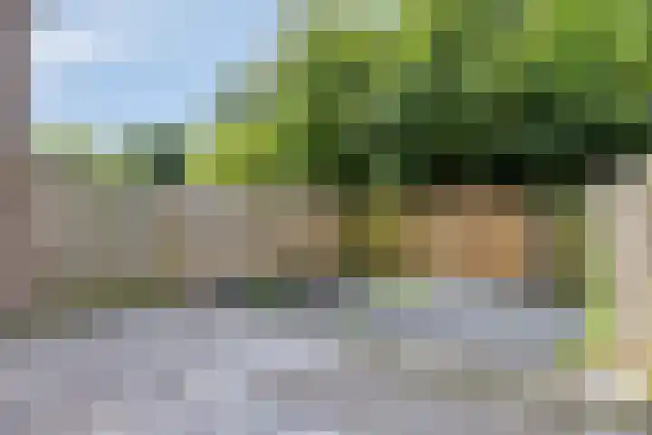 Boogschutter 28 Hoorn thumbnail 28