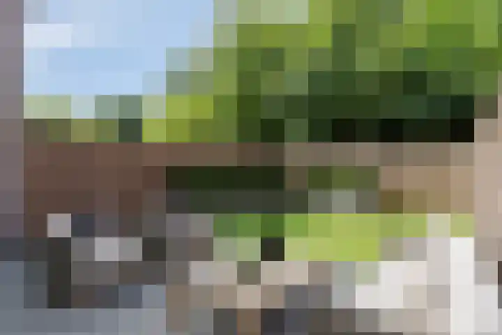 Boogschutter 28 Hoorn thumbnail 29