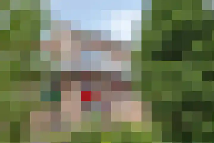 Boogschutter 28 Hoorn thumbnail 30