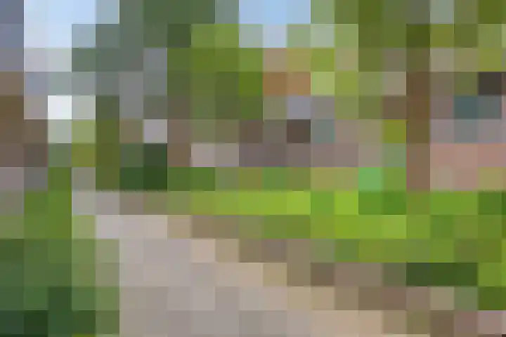 Boogschutter 28 Hoorn thumbnail 32
