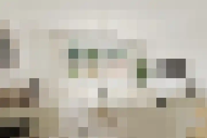 Boogschutter 28 Hoorn thumbnail 6